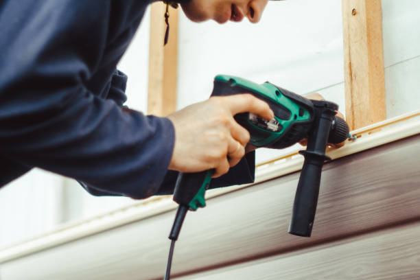 Best Brick Veneer Siding  in Mondovi, WI
